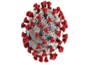 The Cotaldihydo Disease