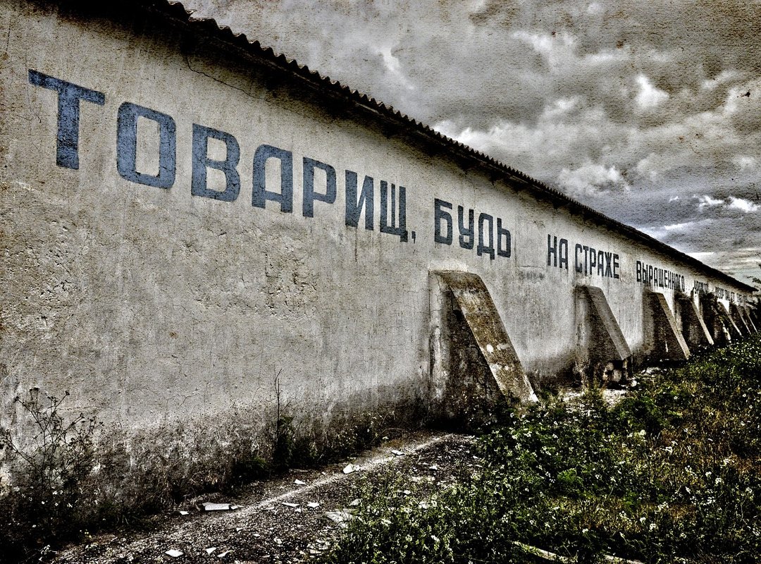 Zayepro Pharmaceuticals Ltd