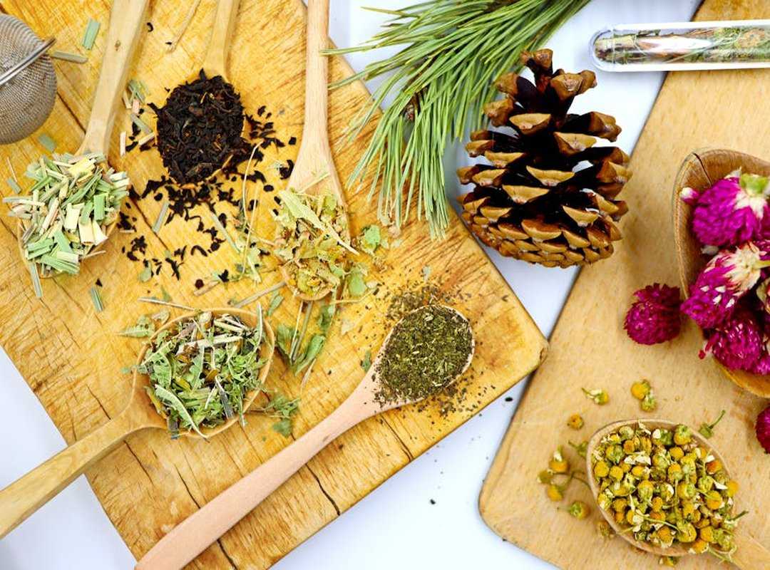 adaptogen teas relaxation