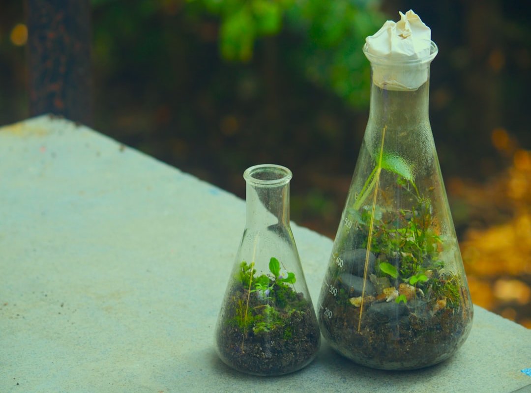 CBD modern wellness